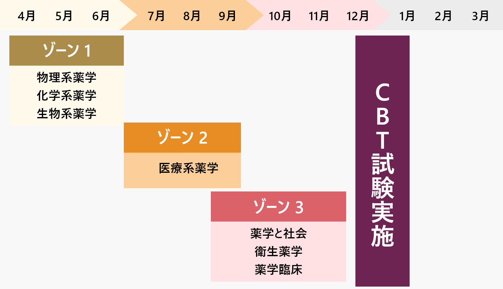 歯科CBTスケジュール