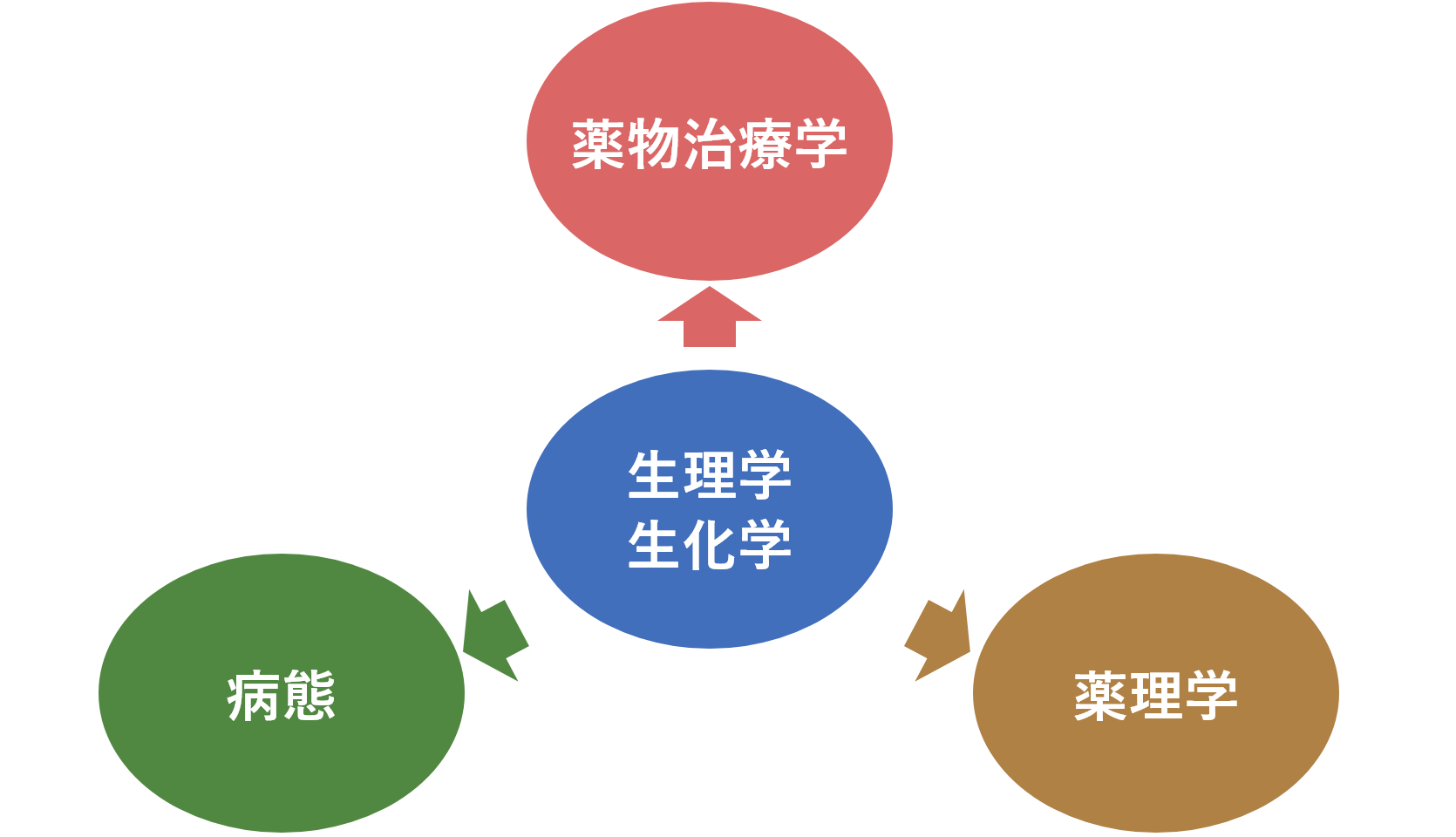 科目の関連付けイメージ